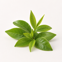 L-teanina