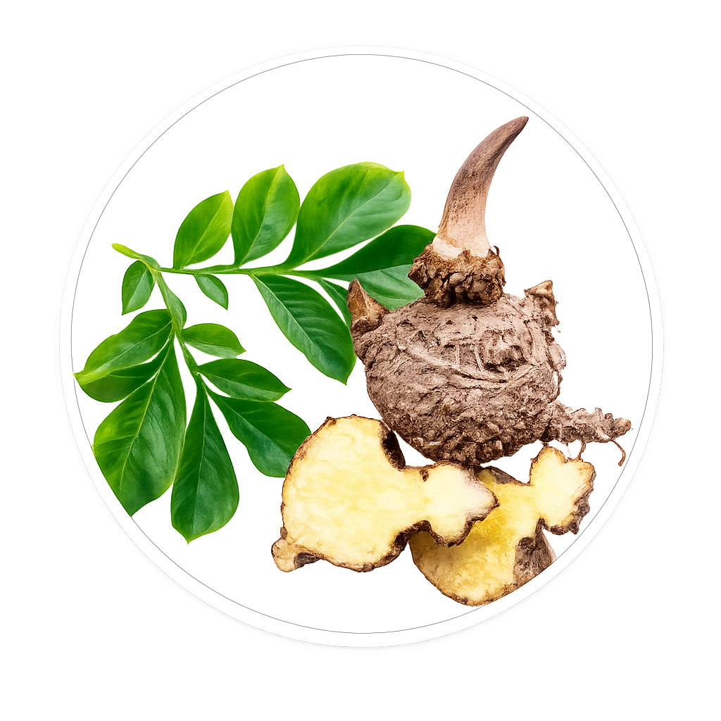 Glucomanano